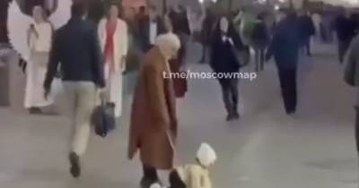 Выгуливающую ребенка на поводке мать заметили в Москве