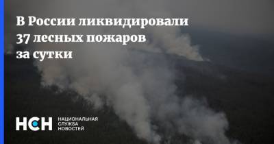 В России ликвидировали 37 лесных пожаров за сутки