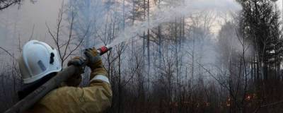 37 крупных лесных пожаров ликвидировано в России за сутки