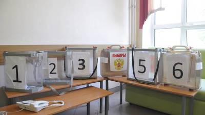 Досрочное голосование на выборах в Госдуму началось в Таиланде и Японии