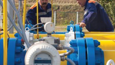 Депутат Рады Скороход объяснила, почему Украина переплачивает за газ