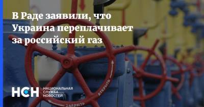 В Раде заявили, что Украина переплачивает за российский газ
