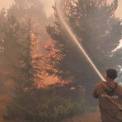 Более десятка лесных пожаров на площади более 4 тыс га потушили за сутки в Якутии