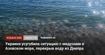 Украина усугубила ситуацию с медузами в Азовском море, перекрыв воду из Днепра