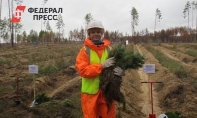 Тюменский губернатор рассказал о восстановлении лесов после пожаров