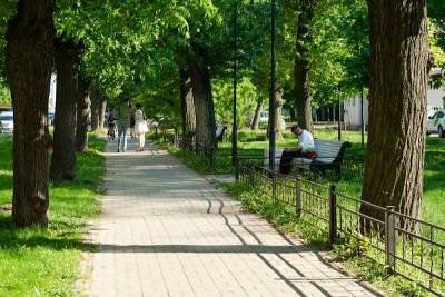 Комплексное благоустройство ожидает сквер на проспекте Большевиков