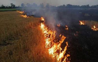 В Украине в ближайшие дни сохранится чрезвычайная пожарная опасность