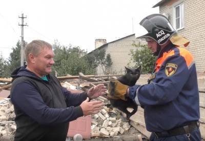 Из-под завалов разрушенного дома в поселке Солидарность спасли кота