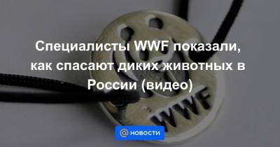 Специалисты WWF показали, как спасают диких животных в России (видео)