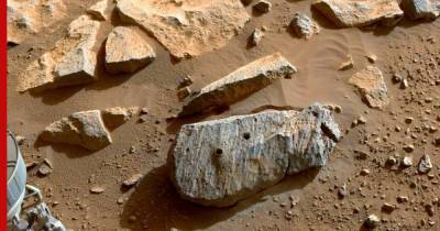 Добытые Perseverance породы на Марсе указали на потенциально обитаемую среду