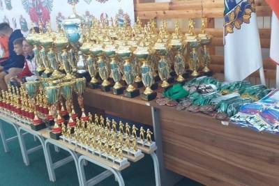 Мичуринские боксёры завоевали золото на турнире в Курской области