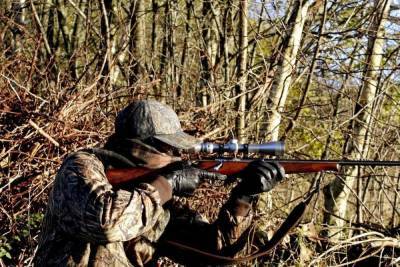 «Добро» на охоту дали в четырех районах Новгородской области