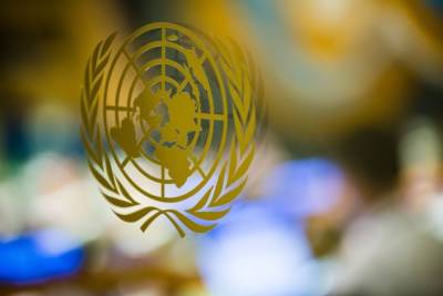 Принята резолюция о сотрудничестве между ООН и ОЭС