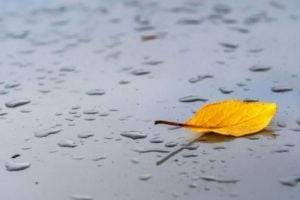 До +26 с дождями: синоптик уточнила прогноз на воскресенье