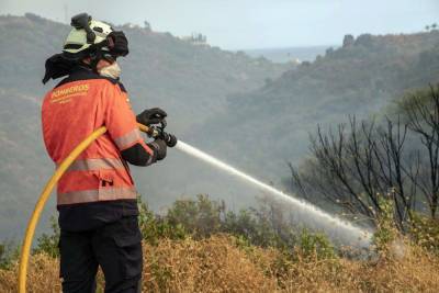 Подозревают поджог: на юге Испании четвертый день бушует лесной пожар