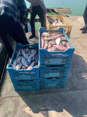 На Полтавщине черкасские экологи обнаружили незаконный вылов рыбы на полтора миллиона
