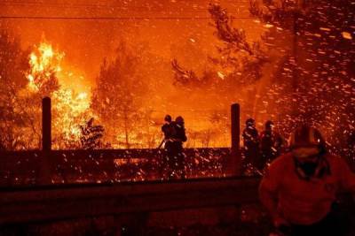 В России за сутки потушено более 1,6 тысячи гектаров лесных пожаров