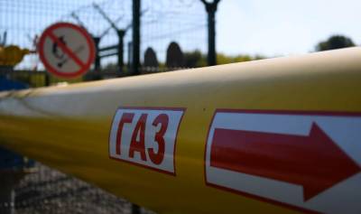 В Киеве пояснили причину закупки газа в Европе «по очень высокой цене»