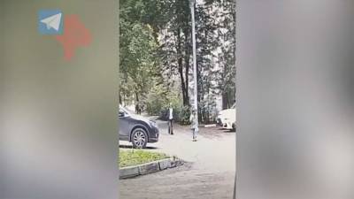 Камера засняла нападение мужчины на ребенка в Подмосковье
