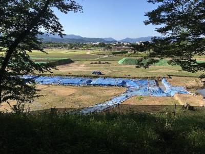 Археологи нашли в Корее «дворец жертвоприношений»