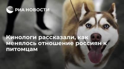 В РКФ назвали самые популярные породы собак у россиян