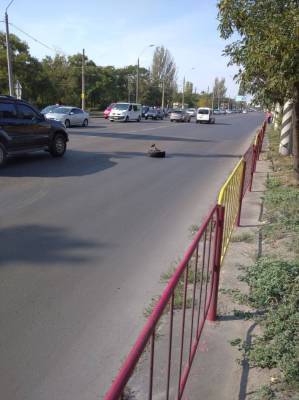 Серьезное ДТП в Лузановке: на Николаевской дороге пробка, трамваи не ходят