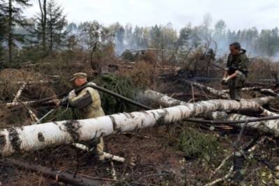 В лесах Марий Эл продолжается ликвидация природного пожара