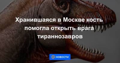 Хранившаяся в Москве кость помогла открыть врага тираннозавров