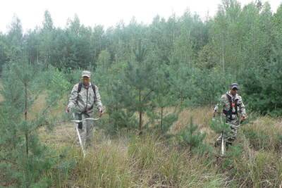 В Тамбовской области завершаются работы по уходу за лесами