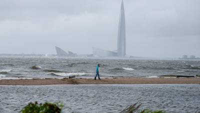 В понедельник предштормовой ветер в Петербурге усилится до 20 м/с