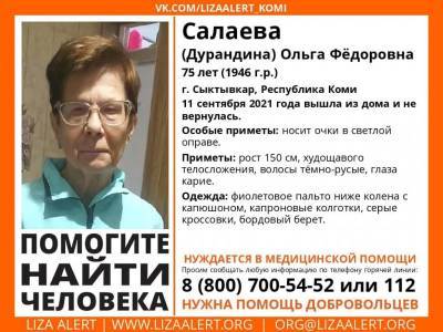 В Сыктывкаре ищут 75-летнюю женщину