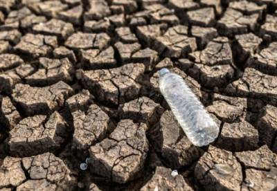 Засухи в Европе станут более суровыми: ученые сделали заявление