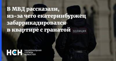 В МВД рассказали, из-за чего екатеринбуржец забаррикадировался в квартире с гранатой