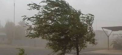 МЧС призвало население Карелии повысить меры безопасности из-за сильного ветра и дождей