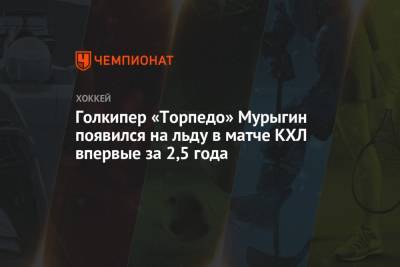 Голкипер «Торпедо» Мурыгин появился на льду в матче КХЛ впервые за 2,5 года