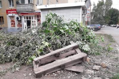 Мэрия Рязани пообещала вывезти мусор из сквера на улице Пушкина