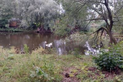 В Новгороде приступят к облагораживанию парка «Архиерейская мыза»