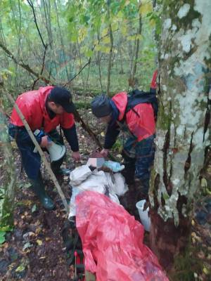 Пожилую любительницу «тихой охоты» на носилках вынесли из леса возле Больших Озерец