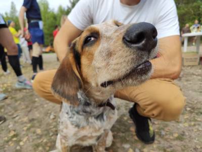 В Твери прошел первый благотворительный забег с животными