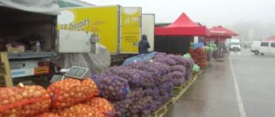 В Украине резко взлетели цены на популярный овощ