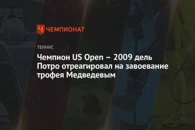 Чемпион US Open – 2009 дель Потро отреагировал на завоевание трофея Медведевым