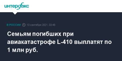Семьям погибших при авиакатастрофе L-410 выплатят по 1 млн руб.