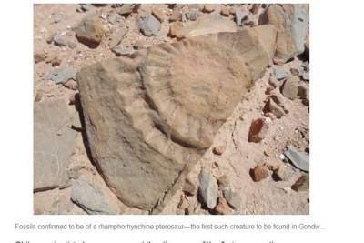 В Чили обнаружили доисторическую крылатую ящерицу