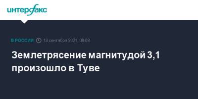 Землетрясение магнитудой 3,1 произошло в Туве