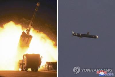 В Северной Корее провели испытания крылатой ракеты большой дальности