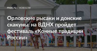 Орловские рысаки и донские скакуны: на ВДНХ пройдет фестиваль «Конные традиции России»
