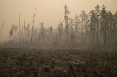 В Якутии лесной пожар приблизился к сезонным жилым постройкам