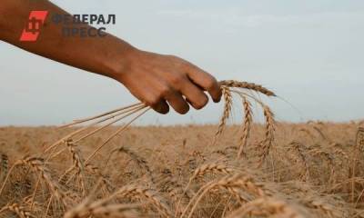 Тюменские власти продают акции крупного сельхозпредприятия