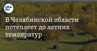 В Челябинской области потеплеет до летних температур. Скрин