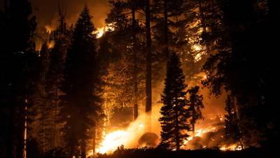 Байден объявил о стихийном бедствии в Калифорнии из-за пожара